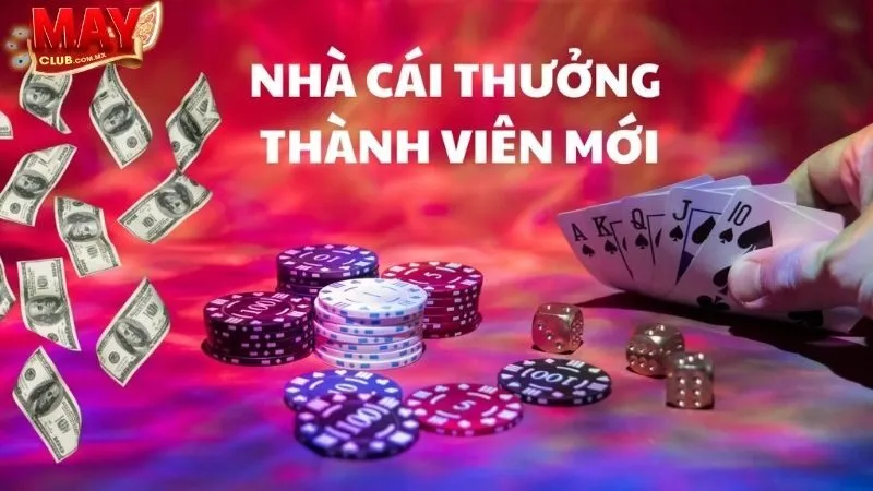 Khuyến Mãi Ở Hàng Ngày/Hàng Tuần/Hàng Tháng