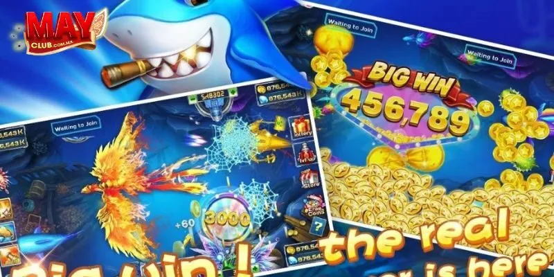 Cách tải và cài đặt Vua Săn Cá tại Mayclub